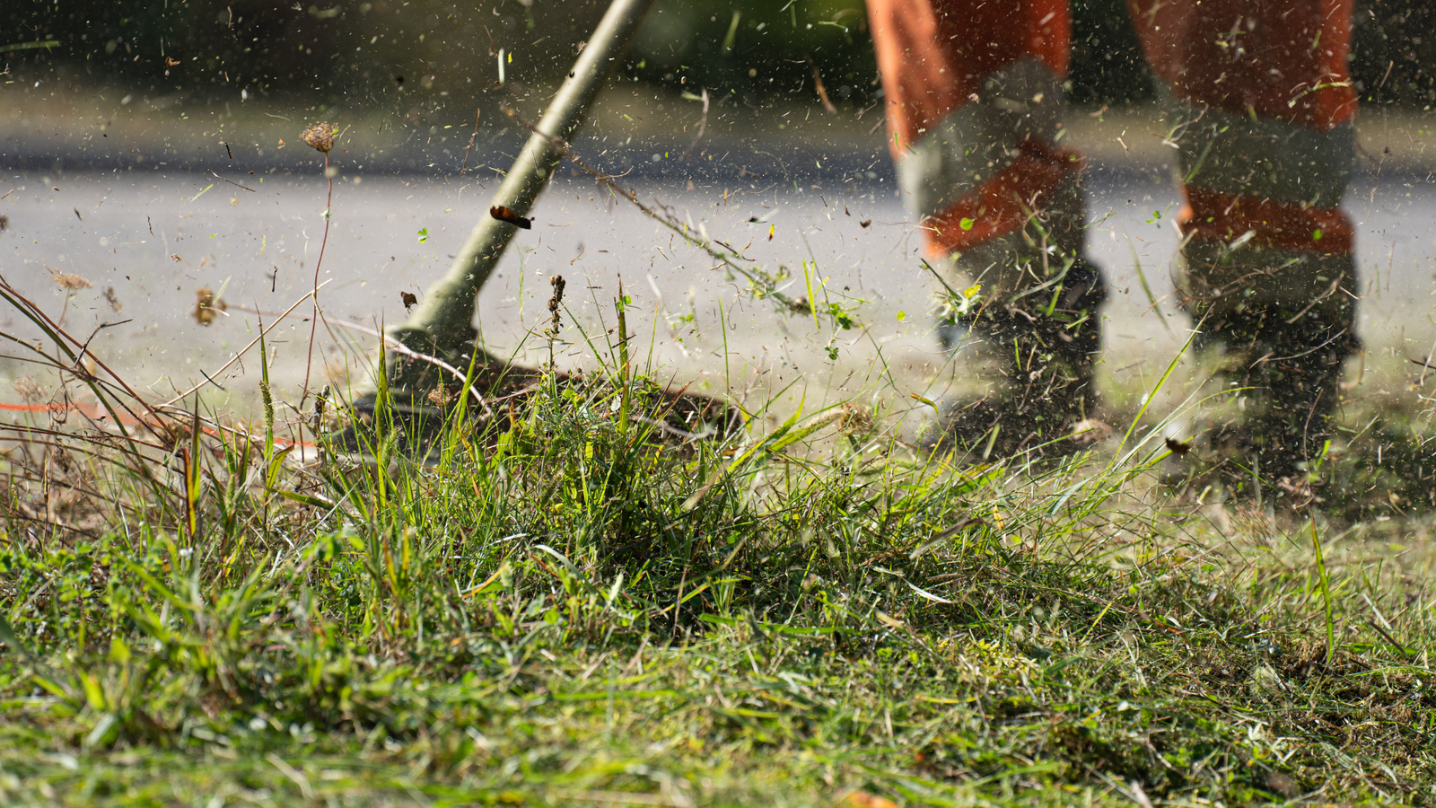 Yard maintenance and outdoor upkeep by Seal Home Solutions